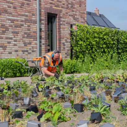 Medewerker groen beplanting